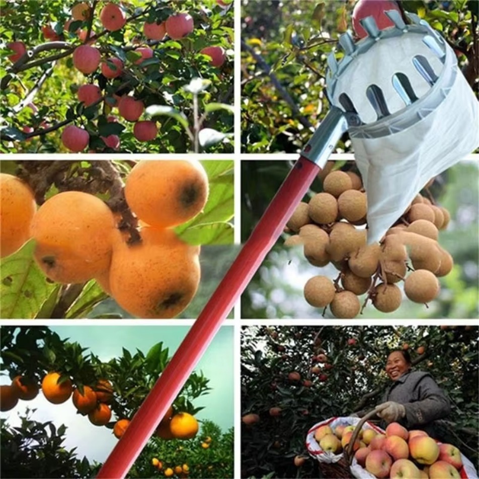 Farming Tools For Agriculture - 정원 따기 고도 과일 피커 농업