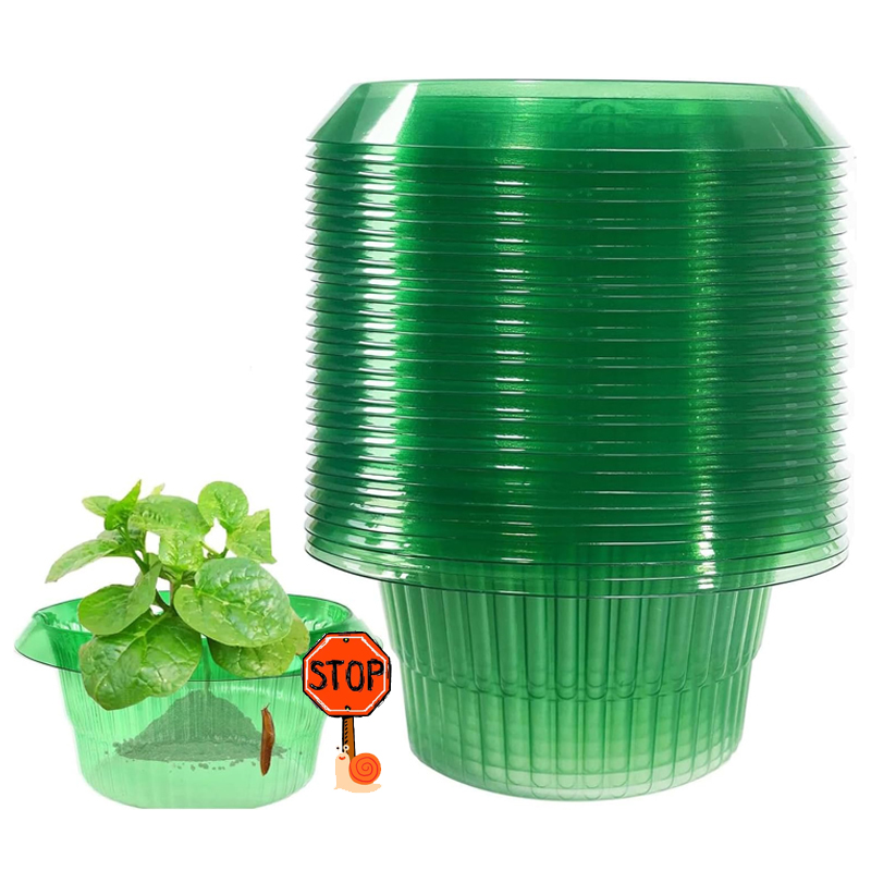 Vegetable Transplanter - 5-25Pcs 식물 슬러그 보호 반지 녹색