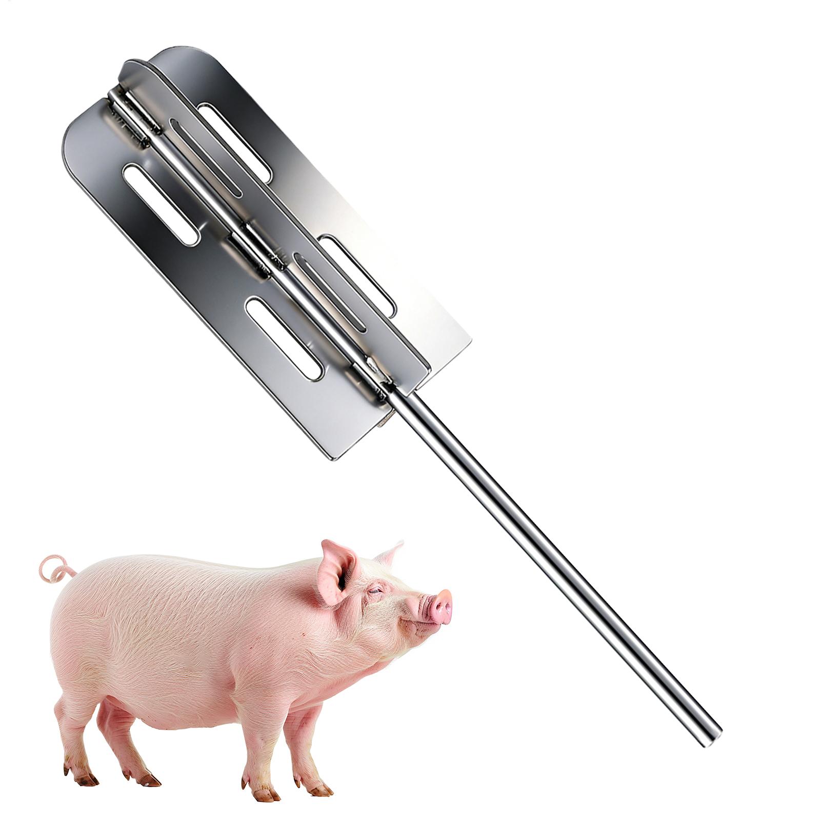Farming Tools For Agriculture - 돼지 털 제거 도구 스테인리스 스틸
