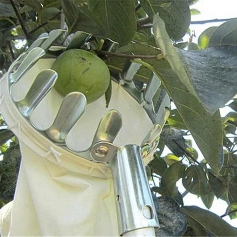 정원 따기 고도 과일 피커 농업 도구 농장 도구에 대한 - Farming Tools For Agriculture 리뷰 및 가격