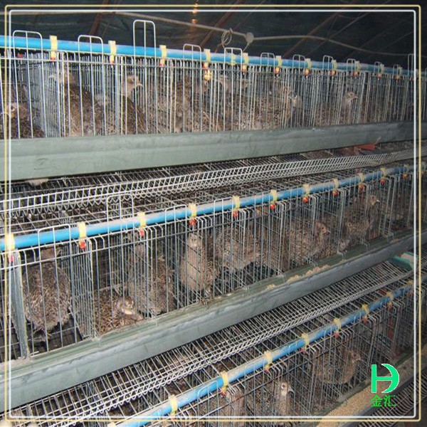 농장 및 농업 장비, 저렴한 새장 판매, 소형 닭장 디 - Agriculture.Farming Design 리뷰 및 가격