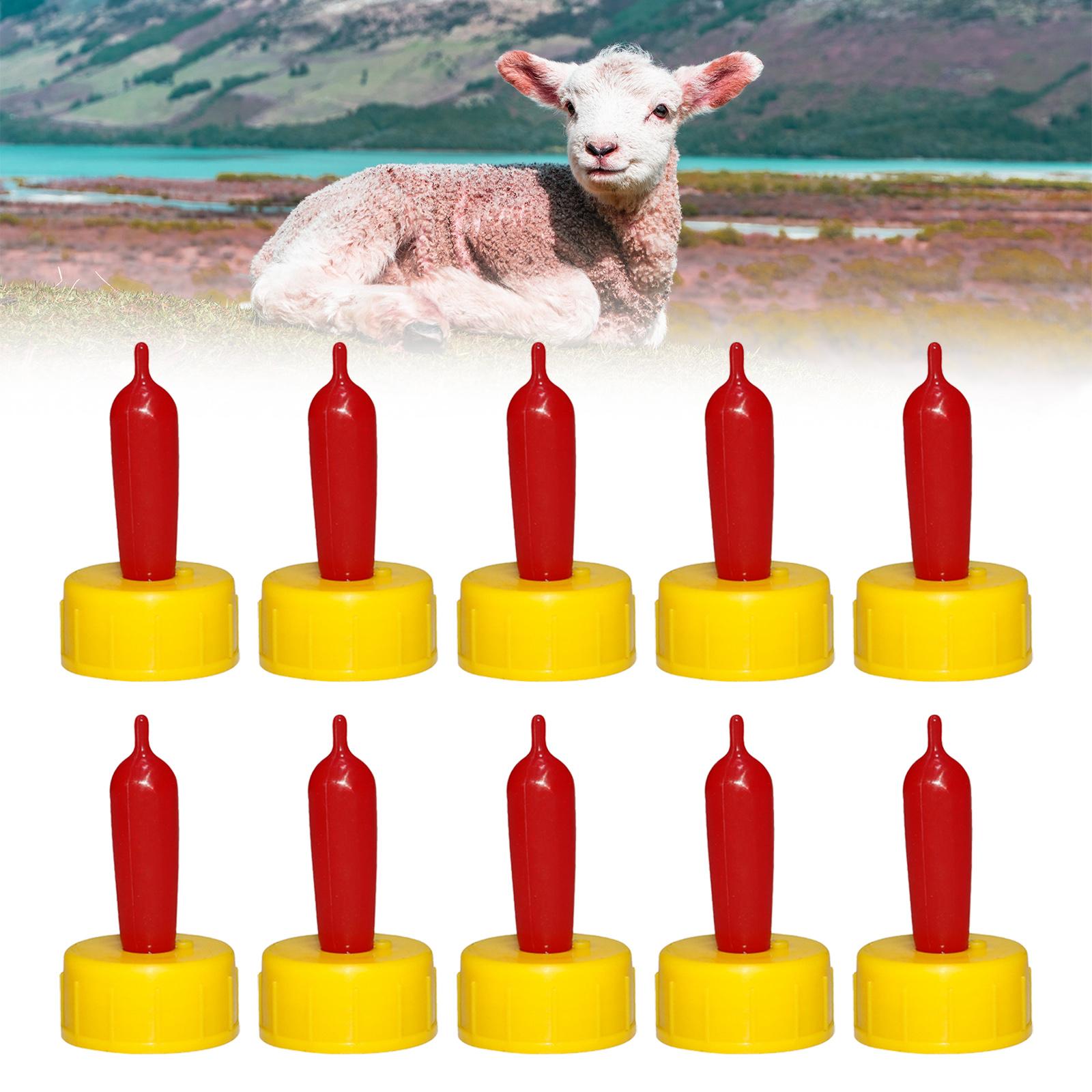 양, 염소, 송아지용 부드러운 고무 젖꼭지형 급수기,  - Agriculture Goat Farming 리뷰 및 가격