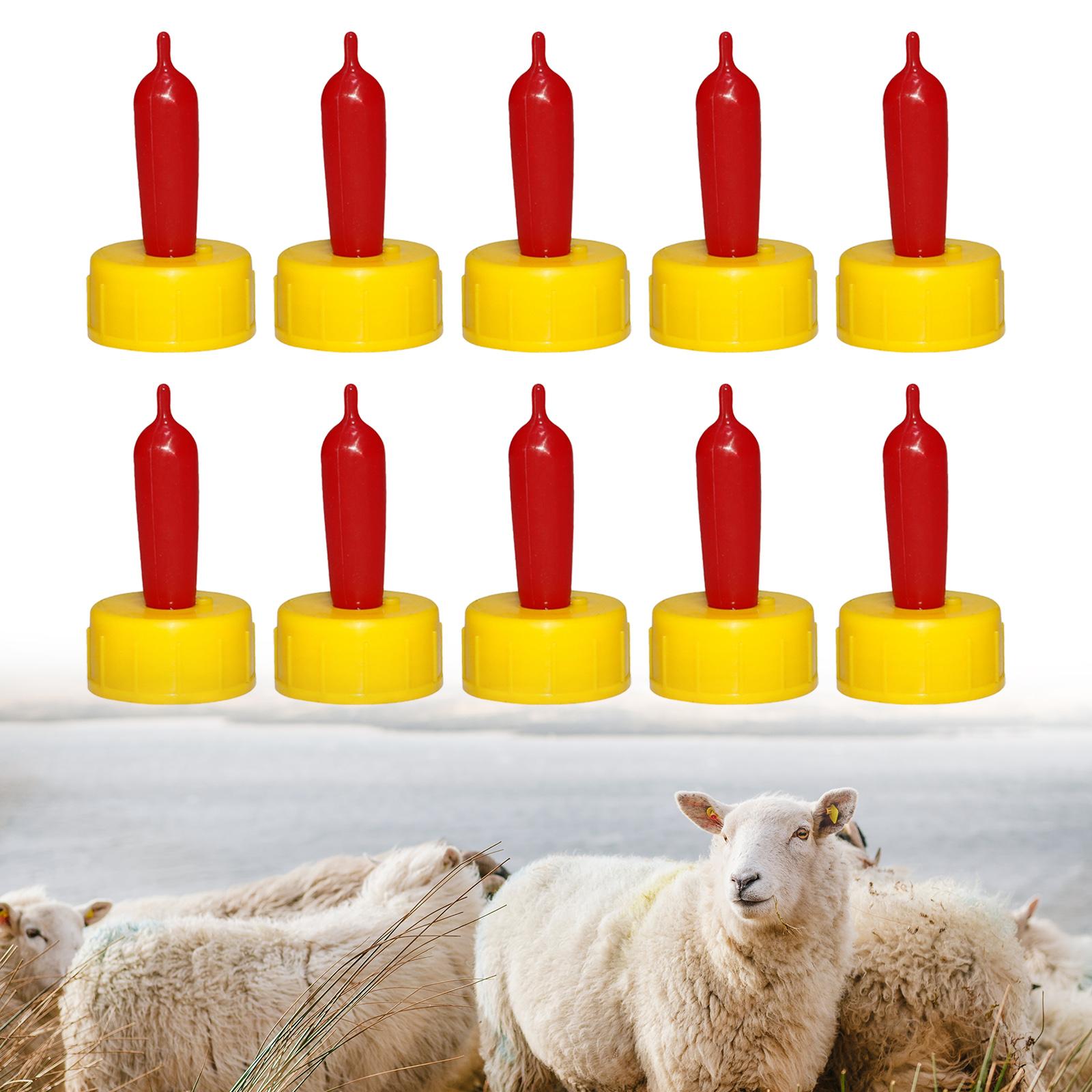 양, 염소, 송아지용 부드러운 고무 젖꼭지형 급수기,  - Agriculture Goat Farming 리뷰 및 가격