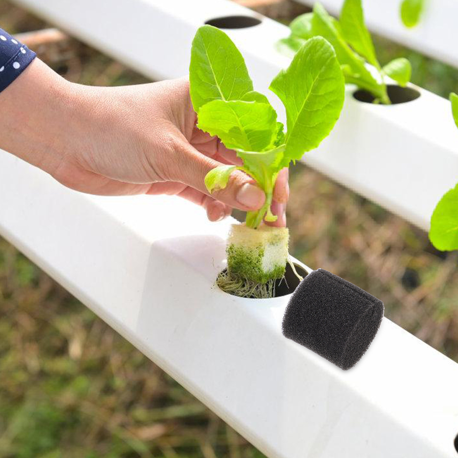 100Pcs 흙 없는 재배를 위한 수경 스폰지 재배 매 - Vegetable Transplanter 리뷰 및 가격