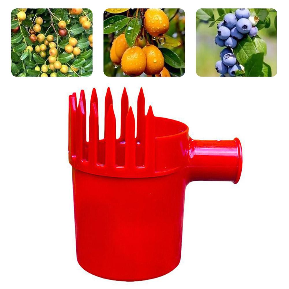 휴대용 과일 수확 도구, 체리 토마토, 블루베리 수확용 - Farming Tools For Agriculture 리뷰 및 가격