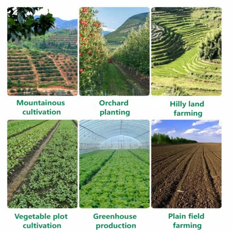 손으로 미는 채소 파종기, 다중 줄 정밀 파종기 (당근 - Vegetable Transplanter 리뷰 및 가격