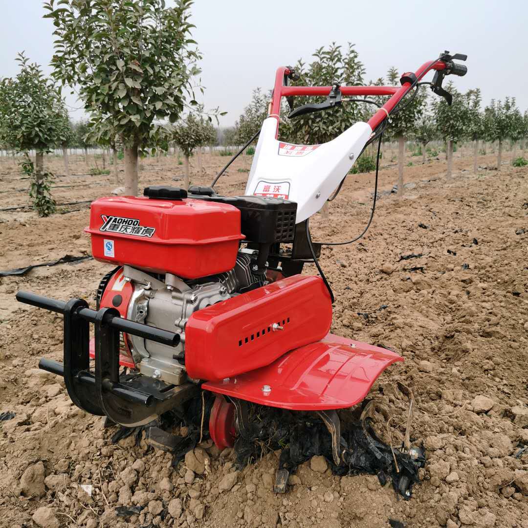 고성능 장수명 올기어 마이크로 경운기(농업용, 언덕 및 - Farming Jobs 리뷰 및 가격