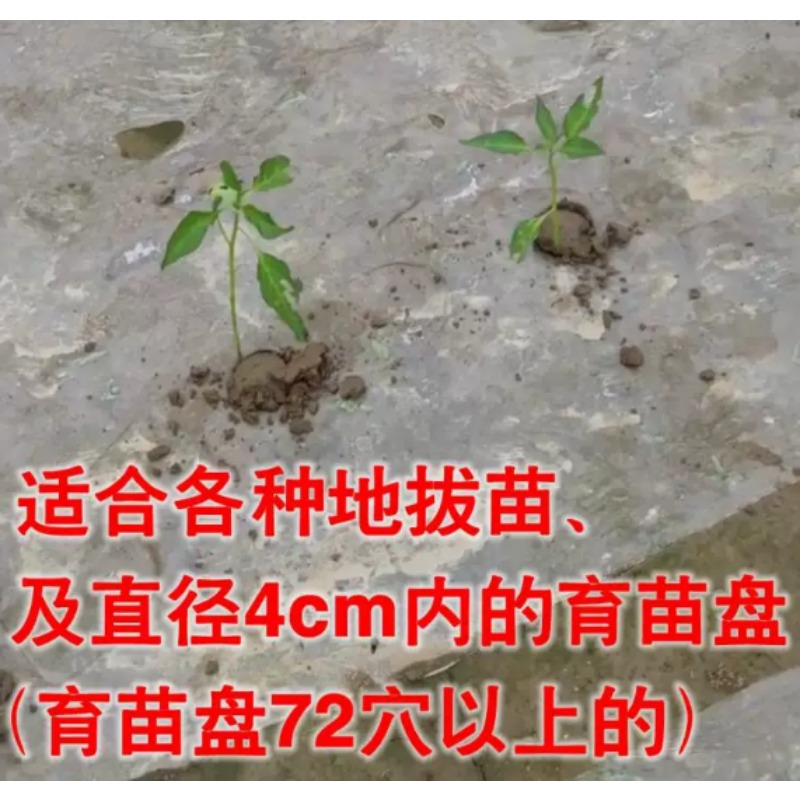 농업용 묘목 이식기 토마토, 피망 묘목 심기용 정원 재 - Vegetable Transplanter 리뷰 및 가격
